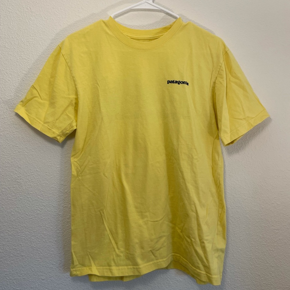 Short Sleeve Patagonia T-shirt